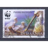 [338] Румыния 2006. Фауна.Птицы.Колпица. Гашеная марка. 2