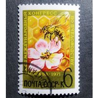 Марка СССР 1971 год Международный конгресс по пчеловодству