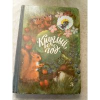 Круглый год. Рассказы, стихи, загадки, сказки. 1983 год\045