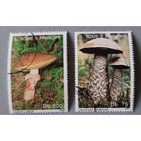 Грибы. Сан-Томе и Принсипи, 1992г
