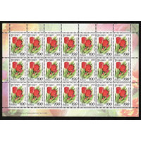 Беларусь. 2008. Стандарт.  Тюльпан (100р) (з.131-2009) Нет просечки снизу Лист
