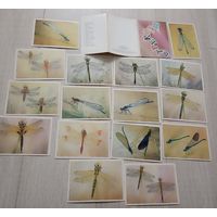 Стрекозы. худ. Аристов. Насекомые. Фауна. Природа. Комплект. Набор. 1987 г. 16 шт.