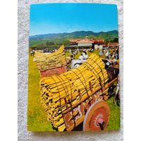 Коста-Рика, на рынке