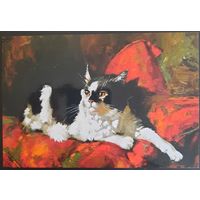 Из серии "Маленькие кошачьи радости". 2016 г. Россия.