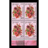 Беларусь. 2008. Стандарт.  Петуния (30р) (з.15-2011)