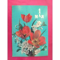 1 Мая! Чистая. 1990 года. Дергилев. 2544.