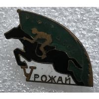 ДССО УРОЖАЙ РСФСР КОННЫЙ СПОРТ