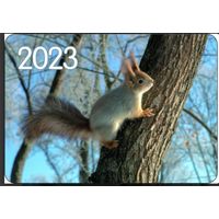 Белка. Календарик, глянец, 2023