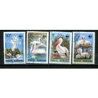 Румыния - 1984 - Птицы - [Mi. 4104-4107] - полная серия - 4 марки. Гашеные.  (Лот 18JE)-TG2P5