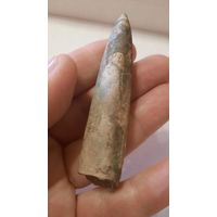 Окаменелость - Ростр Белемнита