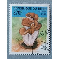 Грибы. Бегин, 1998