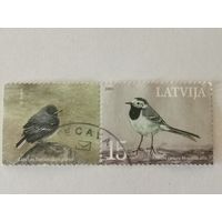 Национальная птица 2003 года - белая трясогузка