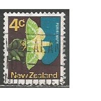 Новая Зеландия. Бабочка Тонкопряд хмелёвый. 1970г. Mi#522.