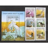 ФФ1 Венгрия 1980 Птицы
