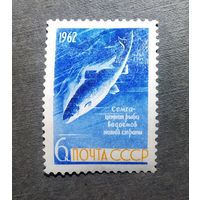 Марка СССР 1962 год Рыба
