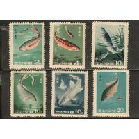 КНДР-1965(Мих.621-626) , **  , Морская  Фауна , Рыбы (полная серия)