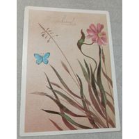 Художник Державин А., Поздравляем! 1983, чистая. 10х15 см.