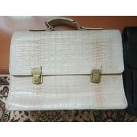 Большой профессорский портфель