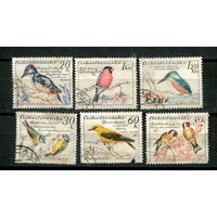 Чехословацкая Социалистическая Республика - 1959 - Птицы - ( 4 марки с повреждением и тонкими местами) - 6 марок. Гашеные.  (Лот 19JE)-TG2P5