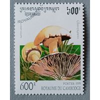 Грибы. Камбоджа, 1995