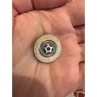 Чемпионат Европы юнори UEFA 1984 значок