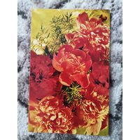 Открытка СССР 1973