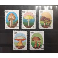Куба. 1988 год. Флора. Грибы (100)