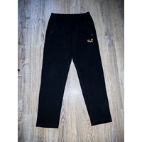 Спортивные штаны Jack Wolfskin, р.M