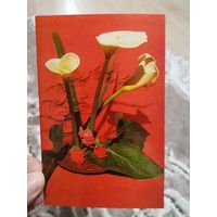 Открытка Поздравляю, чистая 1973