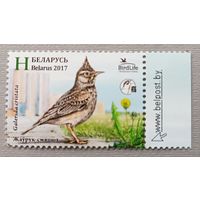 Хохлатый жаворонок. Беларусь, 2017