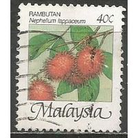 Малайзия. Фрукты. Рамбутан. 1986г. Mi#330.