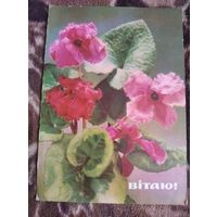 Открытка Виншую Шамшина Сольдат 1971г