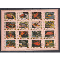 Фауна. Рыбы. Ум Эль Кивайн (ОАЭ). 1972. Малый лист б/з. Michel N 1466-1481 (24,0 е).