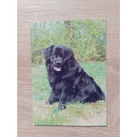 Календарик 1993