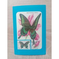 Календарик 1989