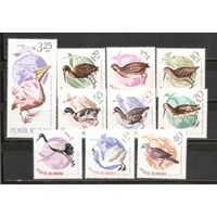 ФФ2 Румыния 1965 Птицы