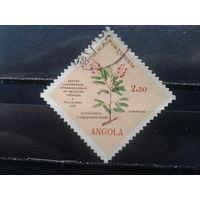 Ангола, колония Португалии, 1958. 6-й конгресс тропической медицины