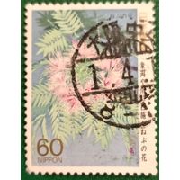 Япония 1988. Узкий путь в глубь страны