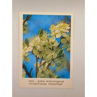 1 Мая! День международной солидарности трудящихся. Белорусская открытка. Дрозд 1989 г. Чистая.