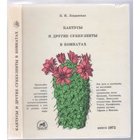 Левданская П. Кактусы и другие суккуленты в комнатах.