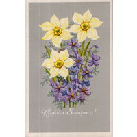 Подписанная открытка 1974г. "8 Марта. Нарциссы" худ. Т. Елагина