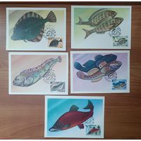 Карточка. Рыбы (цена за одну)