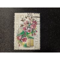 1989. Пчелы