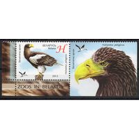 Беларусь 2013. Фауна. Птица Белоплечий орлан. 1 марка+купон 966 (662)