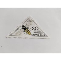 Монголия   1979 насекомые