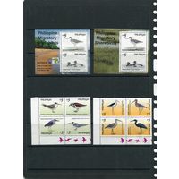 Филиппины. Фауна. Птицы