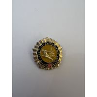 ГТО Олимпиада 80 редкий