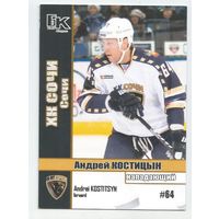 Андрей Костицын / ХК "СОЧИ" / Сезон 2015-2016г.