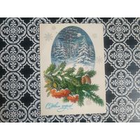 Открытка СССР 1986 год. Прошла почту. Ю.Куртенко .Состояние на скане.