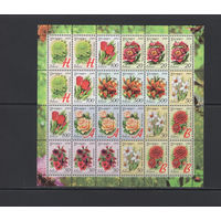 Флора цветы Беларусь 2008 Малый лист коллекционных марок "Садовые цветы" (24 м)